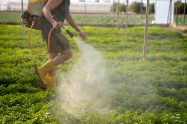 Best Best Pest Control Companies  in Redkey, IN