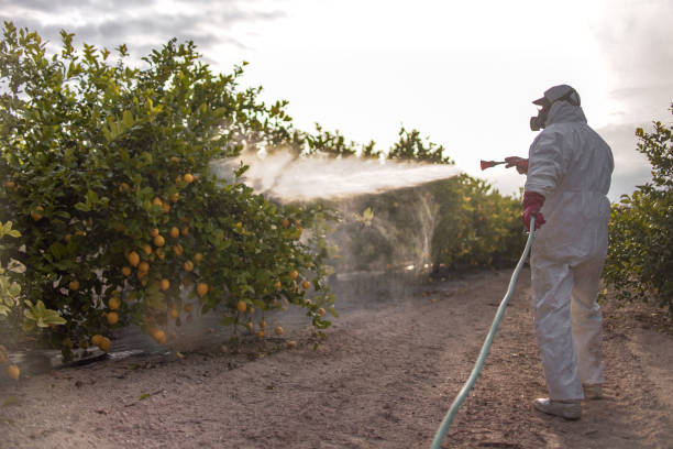 Best Cockroach Control Services  in Redkey, IN