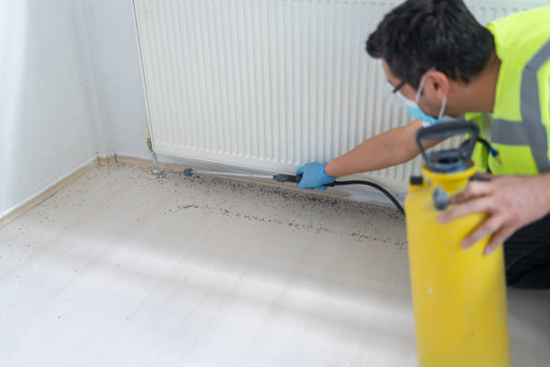 Best Pest Prevention Services  in Redkey, IN